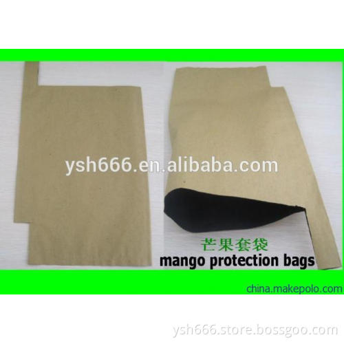 Mango protect paper bag factory price 12 years experience